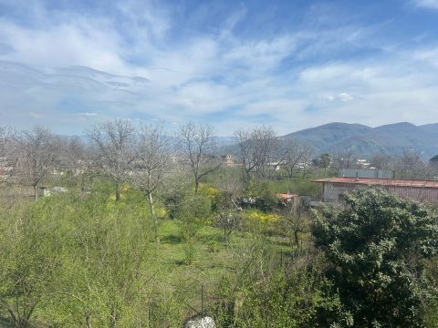 viale delle palme 12