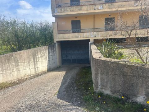 viale delle palme 12