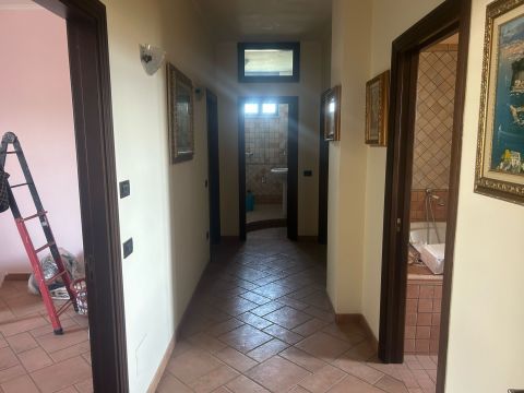 viale delle palme 12