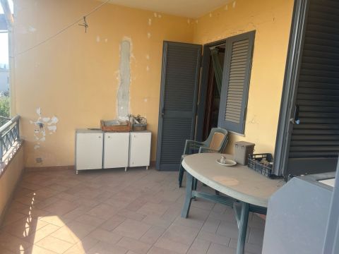 viale delle palme 12