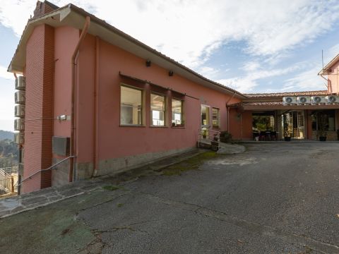 Via Per Chiatri, 3306
