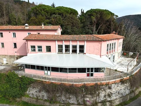 Via Per Chiatri, 3306