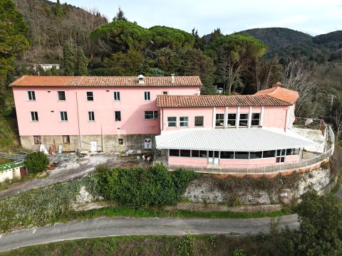 Via Per Chiatri, 3306