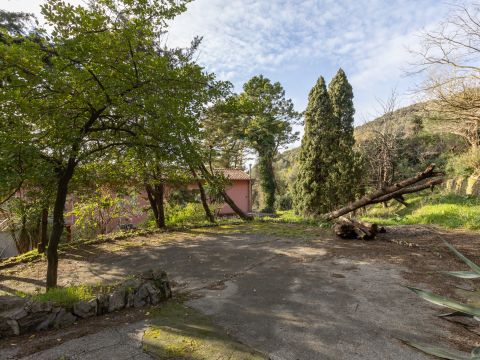 Via Per Chiatri, 3306