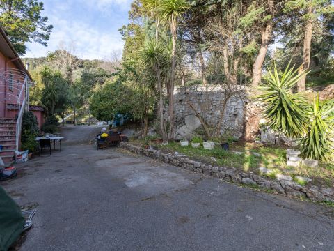Via Per Chiatri, 3306