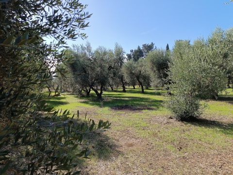 Contrada Sant' Anna - Casarano