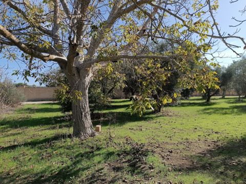 Contrada Sant' Anna - Casarano