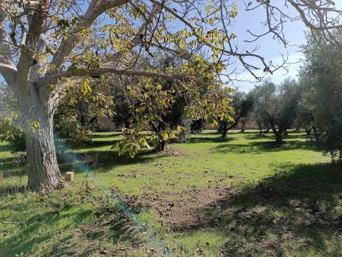 Contrada Sant' Anna - Casarano