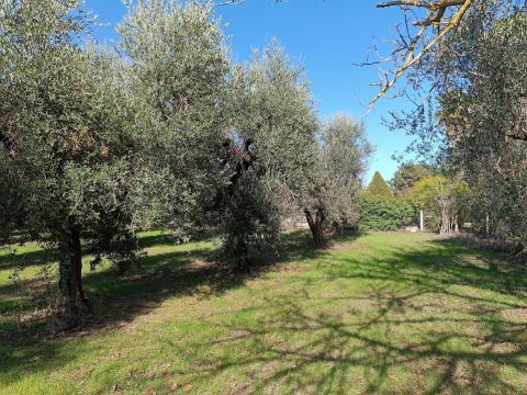 Contrada Sant' Anna - Casarano