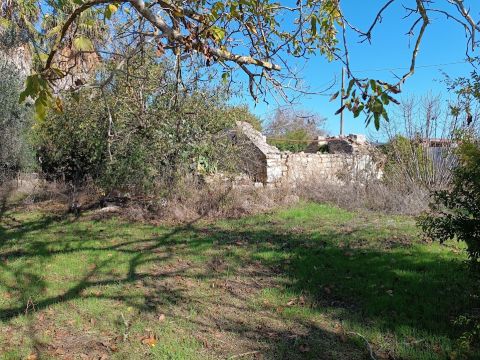 Contrada Sant' Anna - Casarano