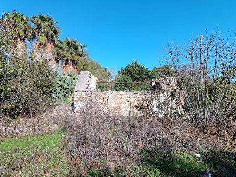 Contrada Sant' Anna - Casarano