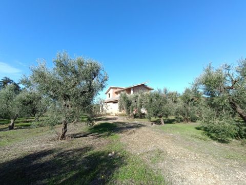 Contrada Sant' Anna - Casarano