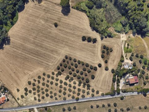 Via Montesecco