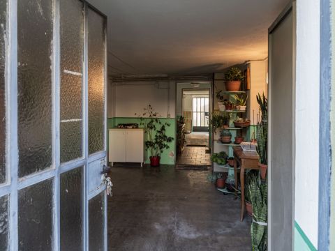 Via Palestro, 55
