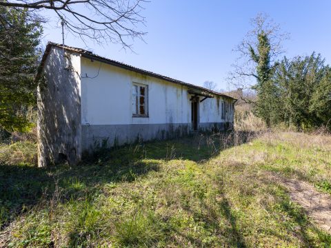 Via Parco della Rimembranza
