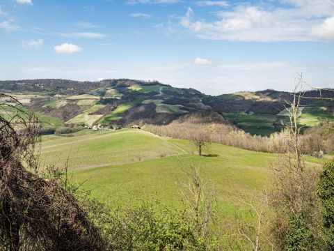 Frazione Camolino