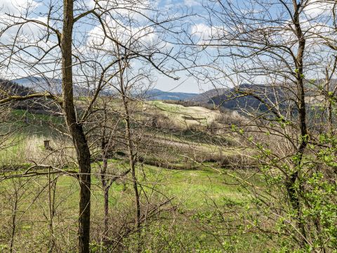 Frazione Camolino