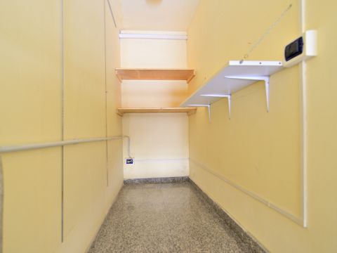 Viale Alessio Nazari, 6