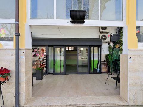 Viale Alessio Nazari, 6