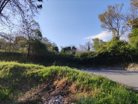 Via S. Elena, 36