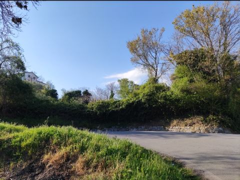 Via S. Elena, 36