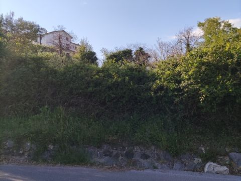 Via S. Elena, 36