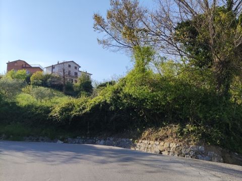 Via S. Elena, 36