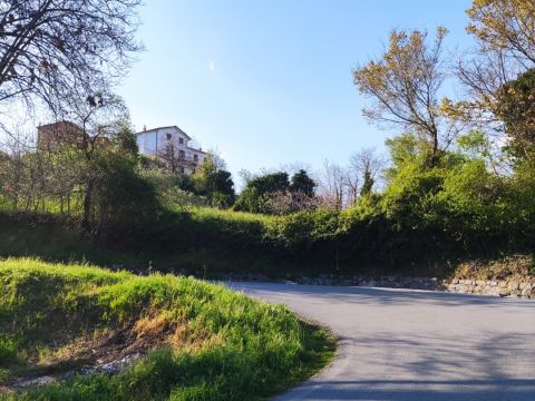 Via S. Elena, 36