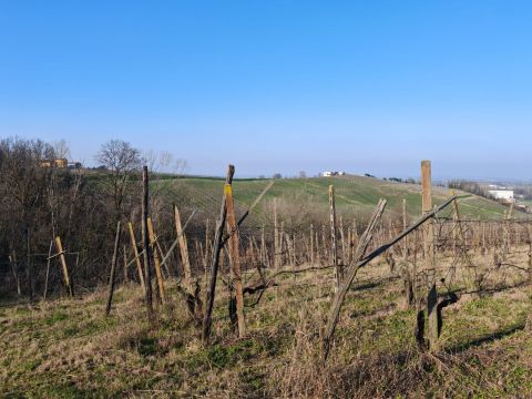 Frazione Camporello 5