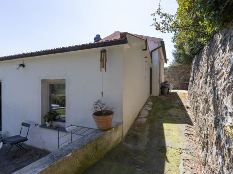Via delle Vignacce, 18