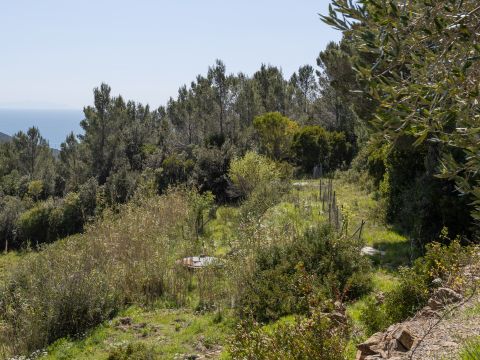Via delle Vignacce, 18