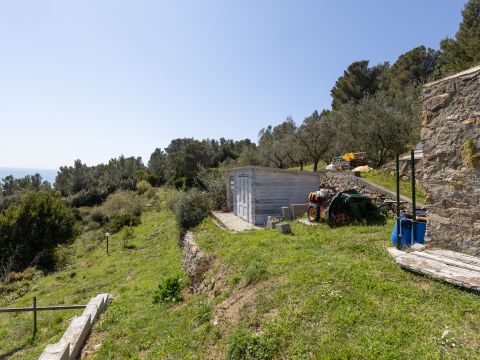 Via delle Vignacce, 18