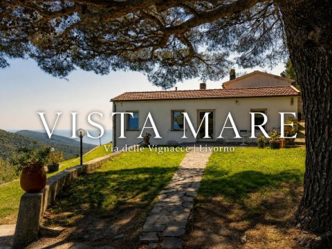 Via delle Vignacce, 18 - Livorno
