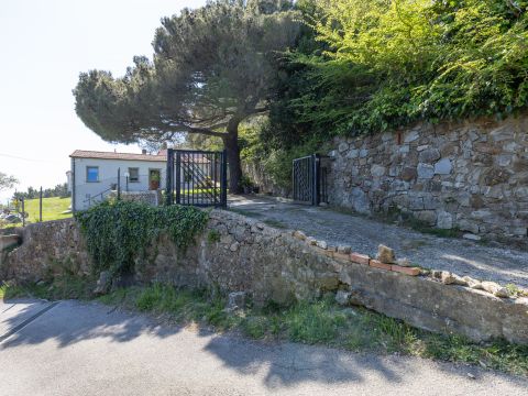 Via delle Vignacce, 18
