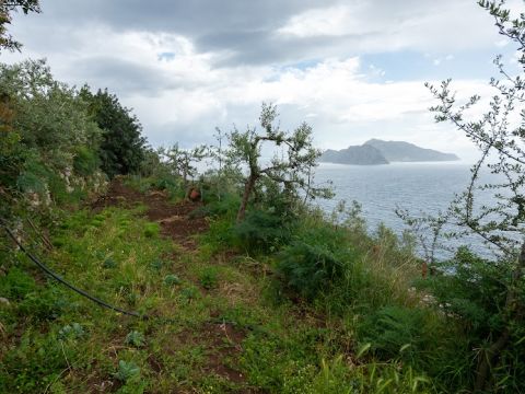 Punta Campanella, Massa Lubrense, NA, Italia