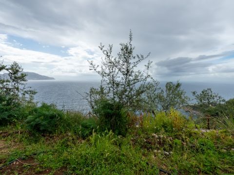 Punta Campanella, Massa Lubrense, NA, Italia