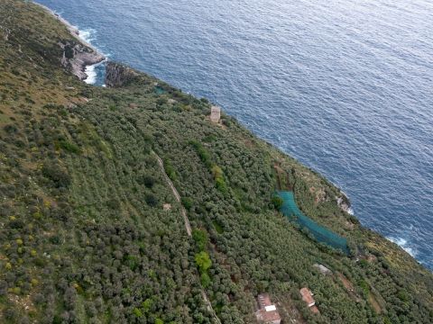 Punta Campanella, Massa Lubrense, NA, Italia
