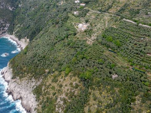 Punta Campanella, Massa Lubrense, NA, Italia