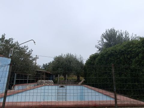 Bommiscuro