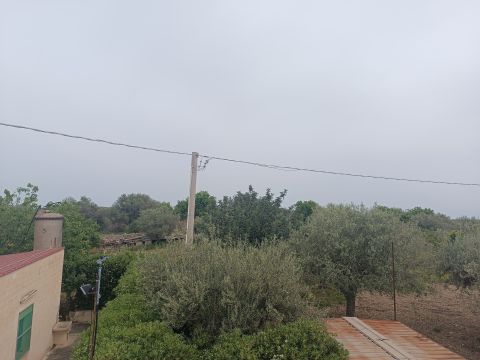 Bommiscuro