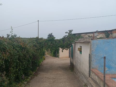 Bommiscuro