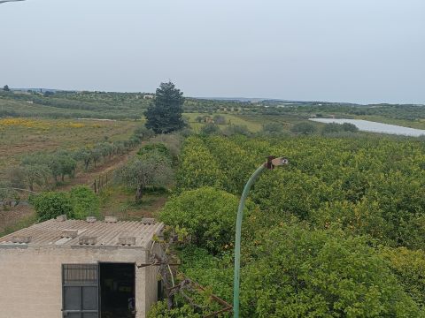 Bommiscuro