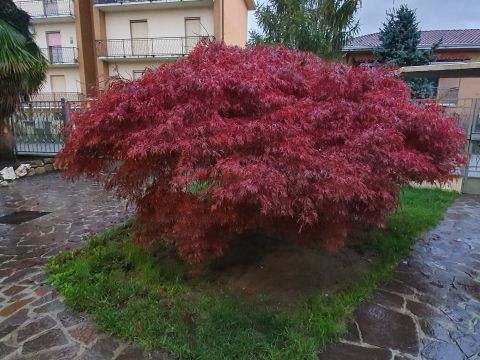 Vicolo Luigi Einaudi, 6