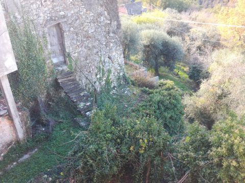 Via Rocca 16