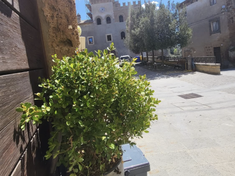 Piazza del Castello, 3 Blera