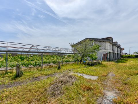 Via Orta Corcia