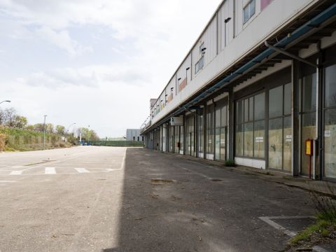 Zona Industriale D1