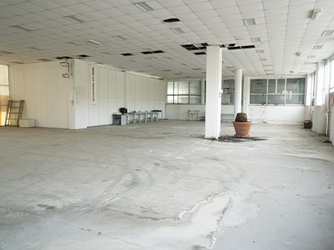 Zona Industriale D1