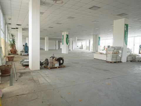 Zona Industriale D1