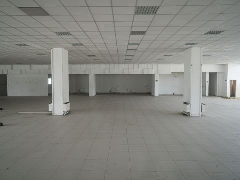 Zona Industriale D1